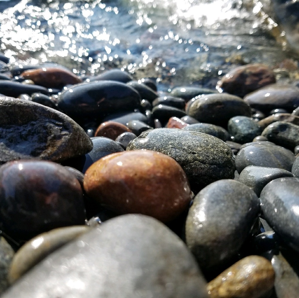 Meet your Posher, Jess